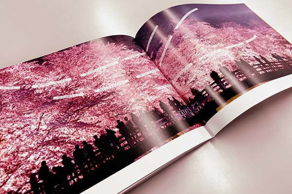 桜と人々の後ろ姿の写真